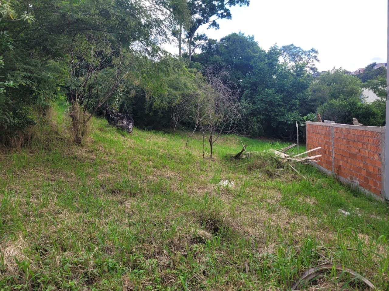 Terreno c/ 303 m²