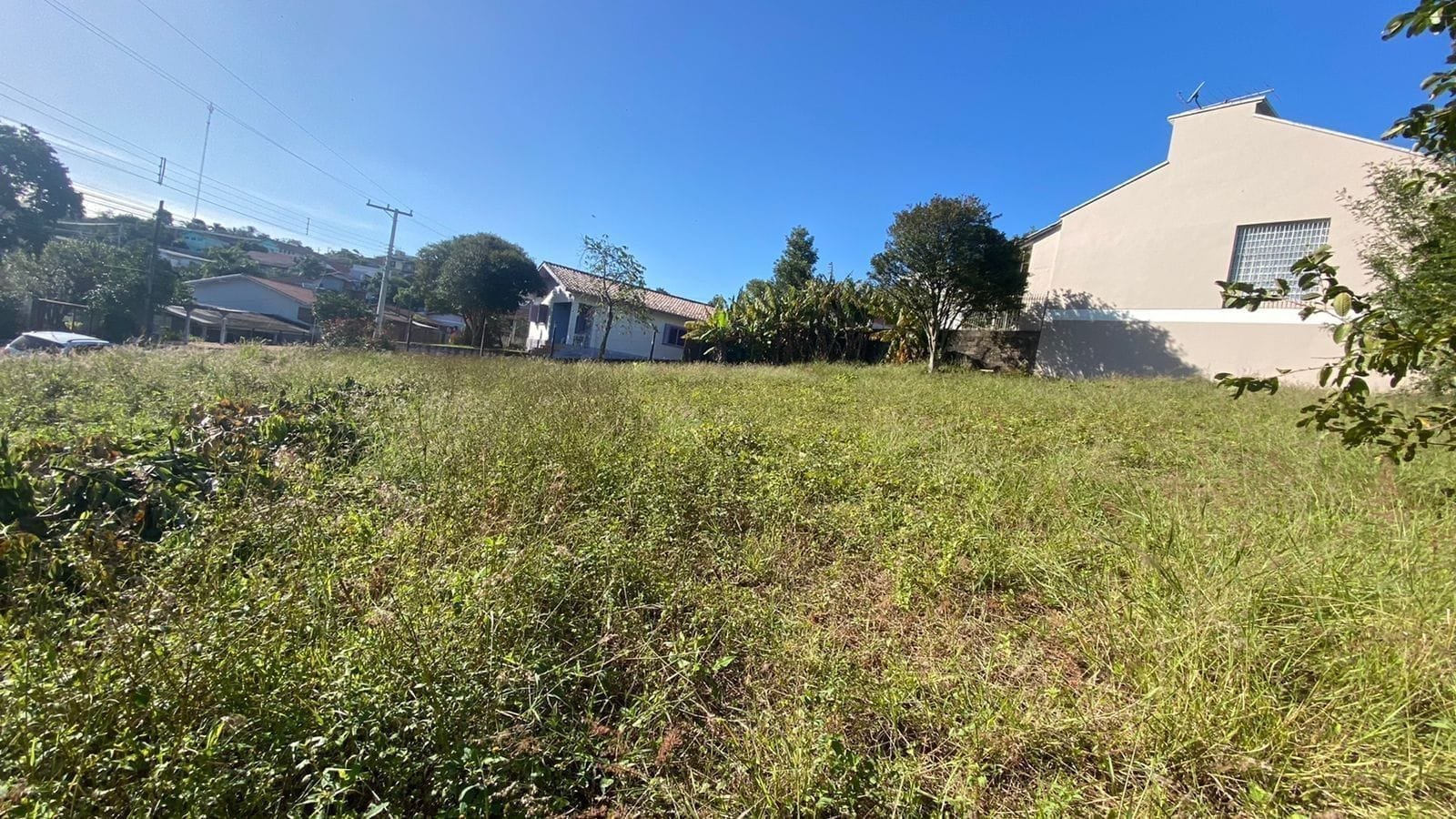 Terreno c/442,50 m²
