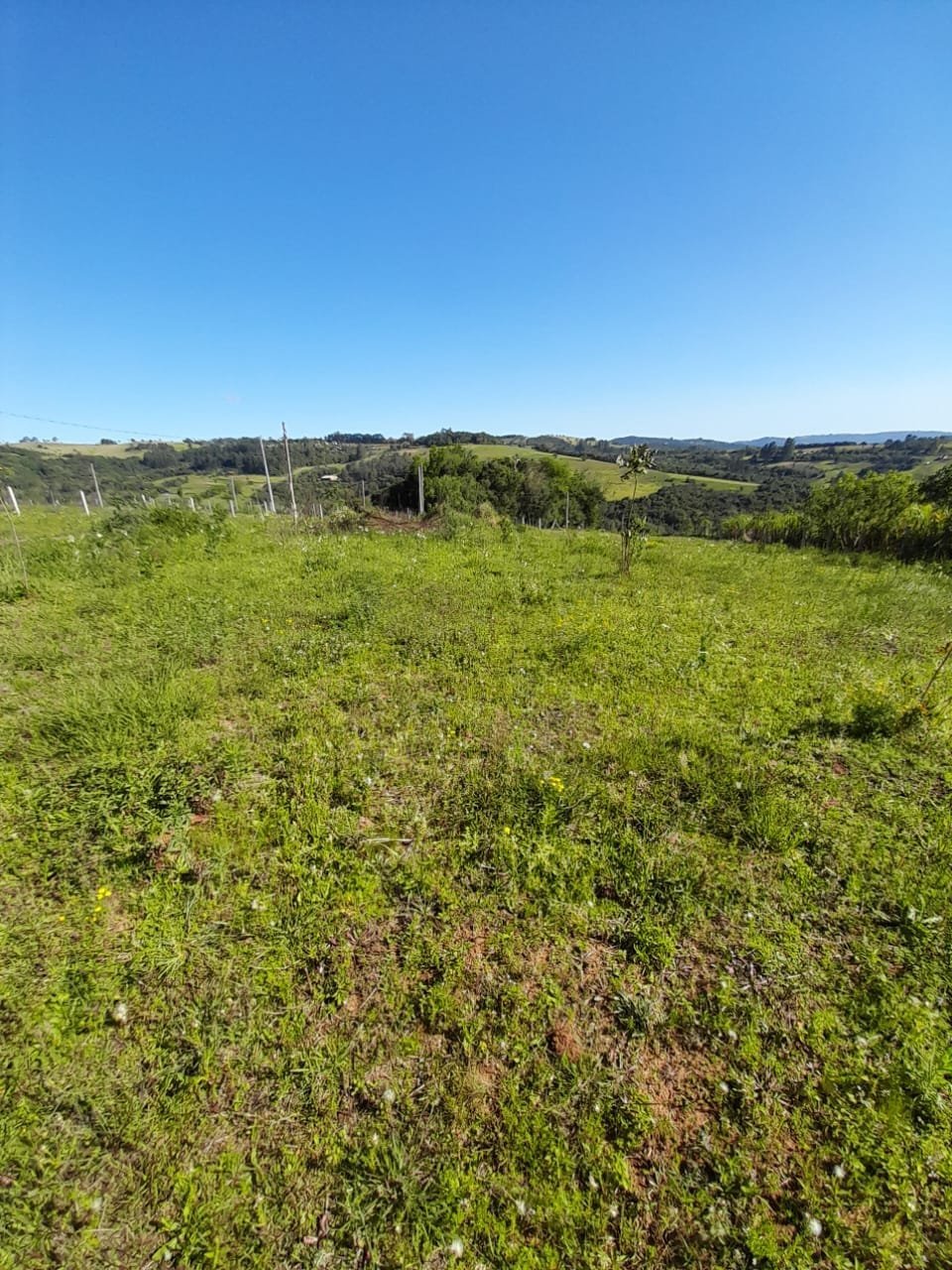 Chácara c/ 5.884 m²