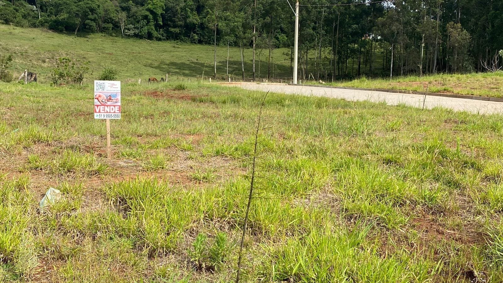 Terreno c/660 m²