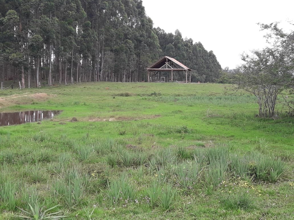 Chácara c/4,5 HA