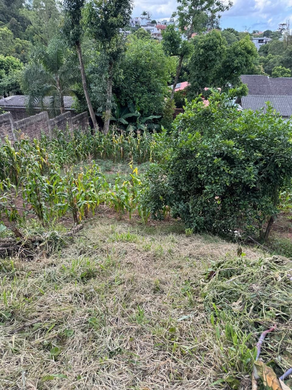 Terreno c/360m²