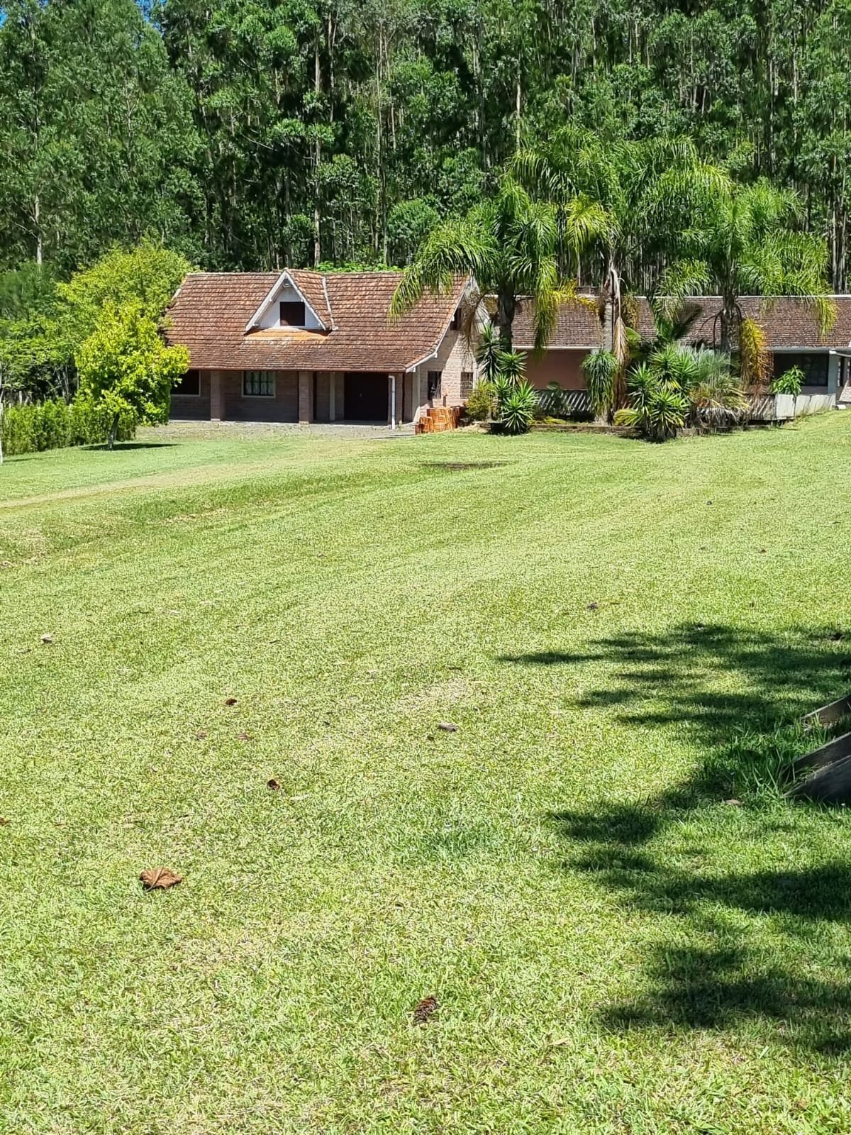 Chácara c/02 hectares