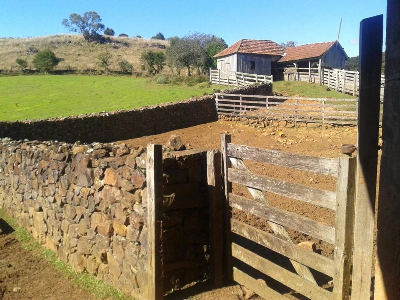 Fazenda c/310 Hectares
