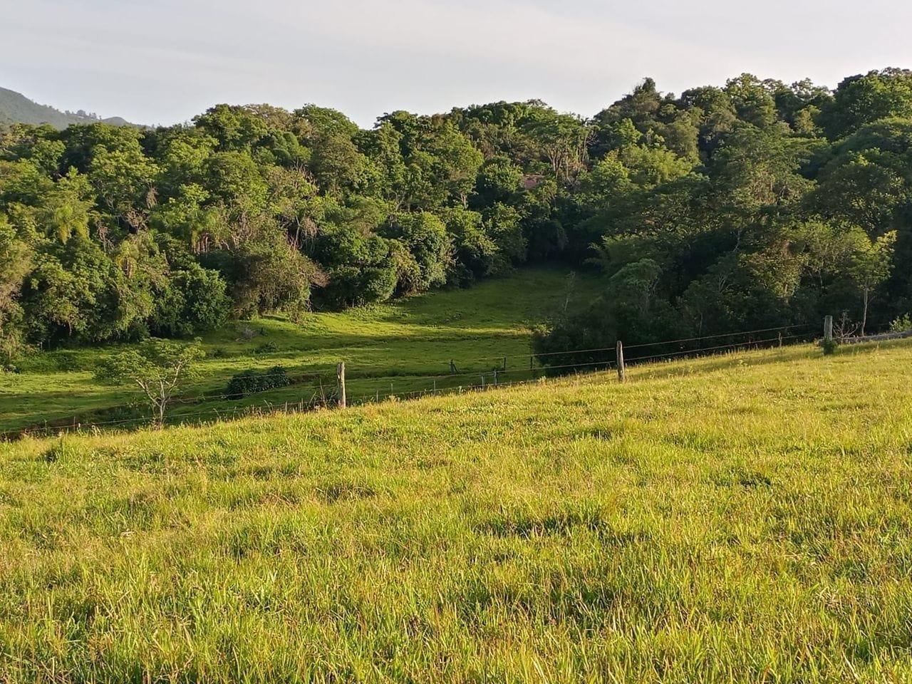 Área c/ 2,7 hectares de terras